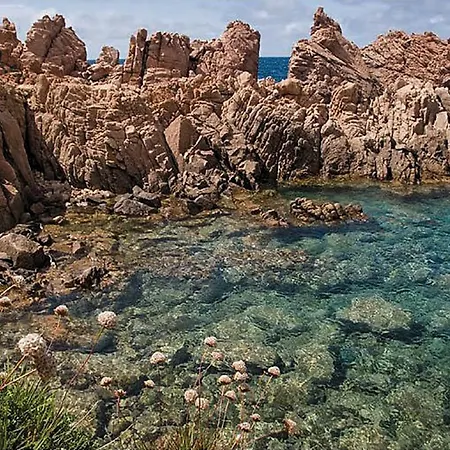 Cecilia * كوستا باراديسو