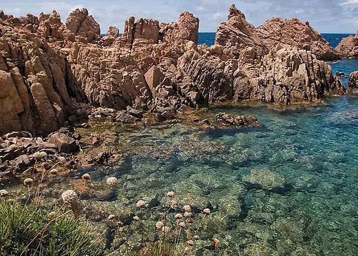 Cecilia * كوستا باراديسو