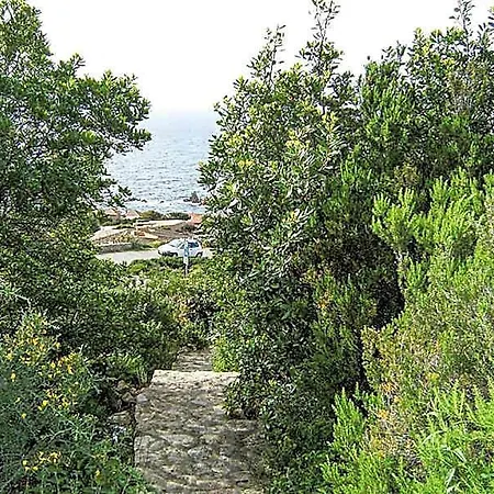 Cecilia Villa